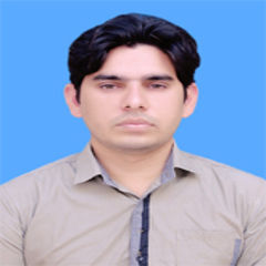 Muhammad Wasif Gulzar