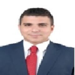 Mohamed Mohsen Elnakib, Account Manager