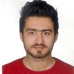 Syed Hasnain Naqvi, Product Executive