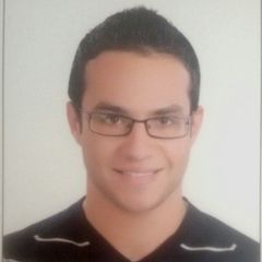 Mohammed Gamal Mohammed