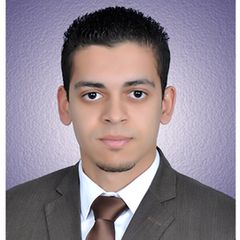 mohamed hamdy