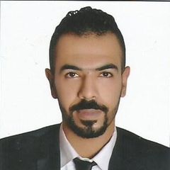 Mohamed Gamal Mokhtar, Executive