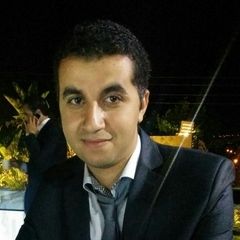 Ahmed Mohamed Mahmoud, IT Executive