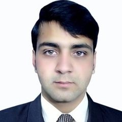 محسن شاه, Customer Service Representative