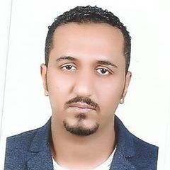 mahmoud هريدى, web developer and designer