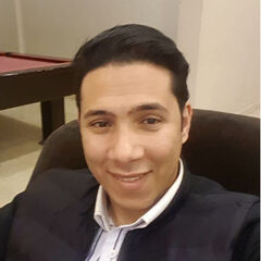 Mohamed darwish, Technical delivery Lead