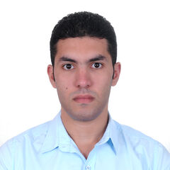 Abanoub Mounir, Senior Procurement Engineer 