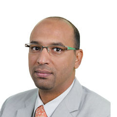 Amr Hassan, Information Systems Business Analyst