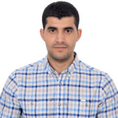Abdelhammid  Cherfa, Site Architect inspector