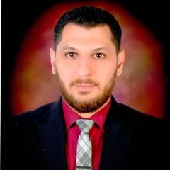 محمد محسن عيسى, مستشار الموارد البشرية