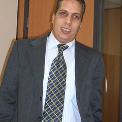 Medhat Baza, ERP Project Manager