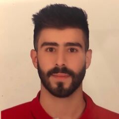Fadl Chamoun, Telecommunications Engineer