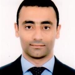 Wael Taha Abd el halim kandil