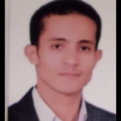 Hamza Bakr