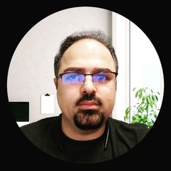 Davoud Pournabi, Dot Net Developer