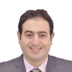 Ayman Hamdy, Senior Project Lead Engineer