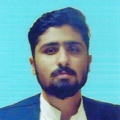 Syed Ali Raza Naqvi, Marketing And Sales Manager