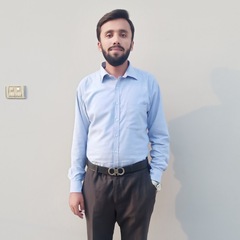 Khubab Hadayat, Network Engineering Executive