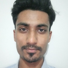 Syed Hassan Shah, Professional services engineer