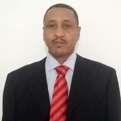 Fadl Allah يوسف, Finance manager