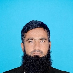 Muhammad  Sabar Ul Hassan 