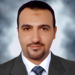 Mohamed El-Kharashy, Accounting supervisor