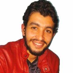 Mohammed Mahmoud Elperry, .NET Developer