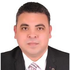 وائل فؤاد محمد ابراهيم, financial manager
