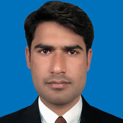 Irfan Ali, Piping Engineer Mechanical (5 Years Oil & Gas Experience)