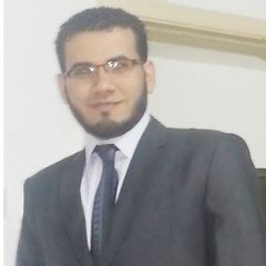 Ahmed El Hossieny, Account manager