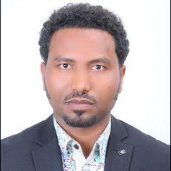 Awel mohammedseid, Direct supper vision project manager