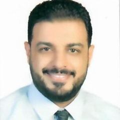 Ahmed Alsayed Abdelazim, Sales Manager