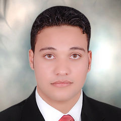 محمد محمود محمد الحوفي, automation shift leader