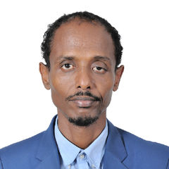 Bizuayehu Tesfaye Tilahun, Ethiopia Scaling Solar Project Manager 