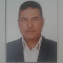 محمود قرنى عبد العليم, Freelancer Trainer and Consultant
