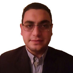 محمد مجدي عبد المنعم محمد, Software Project Manager