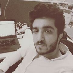 Hossam  Elkholi