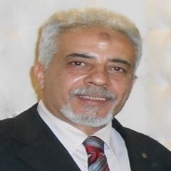 هشام حسان, Technical Support Manager