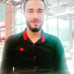 أحمد محمد ربيع محمد, Web Developer