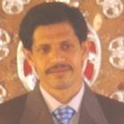 أحمد شريف, Divisional Head - Quality Assurance