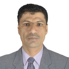 محمد سعيد عباس علي  الهلالي, محاسب عام
