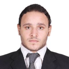 محمود Fathy Zakaria, محاسب عام