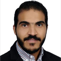 Amgad Hussain, Project Manager