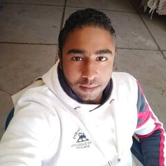 Mahmoud Elboshy