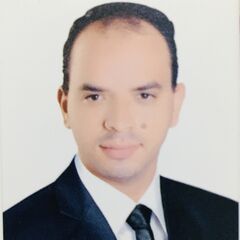 Aly Abdelaal  Mohamed Abdelaal
