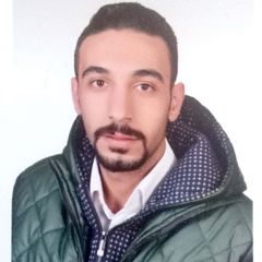 Mohammad Abd-Alhmid Abu Atyeh, Freelance ( Project Consultant )