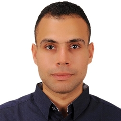 Mohammad Abdelraheim, Russian&English&Arabic Team Leader
