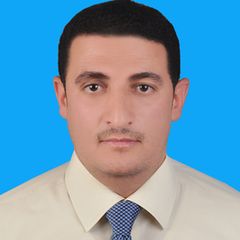 كامل محمد  احمد, Chief Accountant