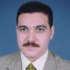 عمرو شوقى حلاوة, Financial Manager