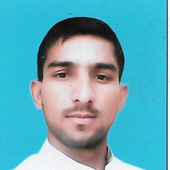 Muhammad Sanwal